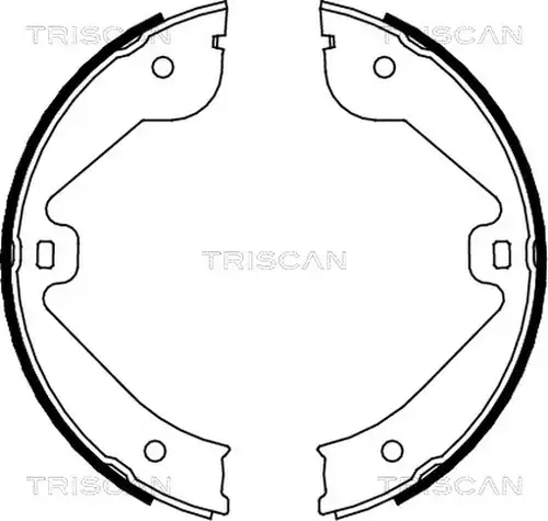 комплект спирачна челюст TRISCAN 8100 10022