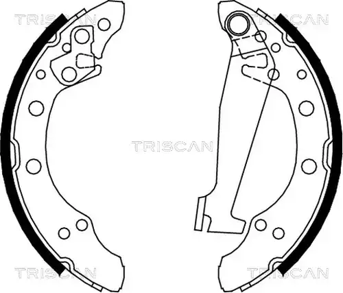 комплект спирачна челюст TRISCAN 8100 10520