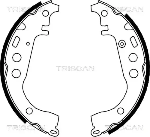 комплект спирачна челюст TRISCAN 8100 13617