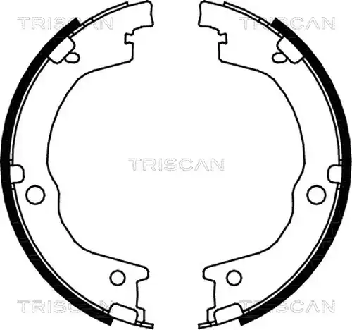 комплект спирачна челюст TRISCAN 8100 18006