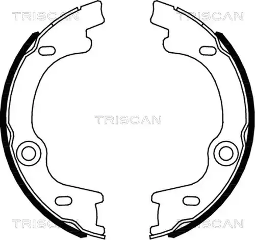 комплект спирачна челюст, ръчна спирачка TRISCAN 8100 18010