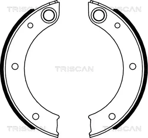 комплект спирачна челюст, ръчна спирачка TRISCAN 8100 20003