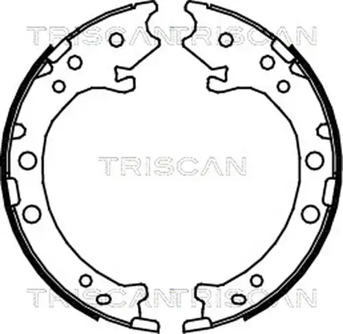 комплект спирачна челюст TRISCAN 8100 40008