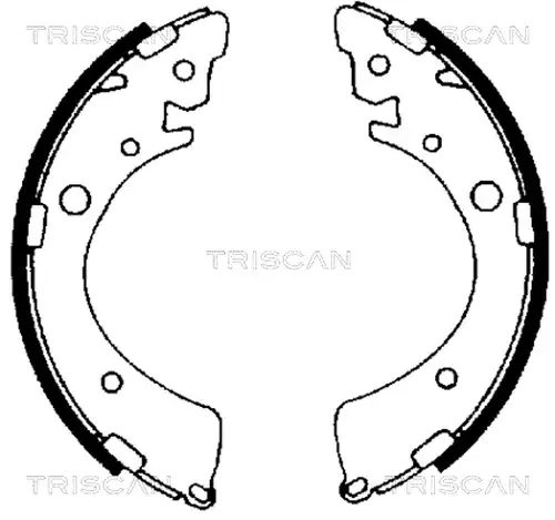 комплект спирачна челюст TRISCAN 8100 40441