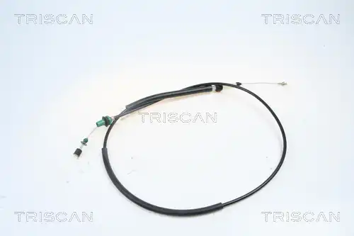 жило за газ TRISCAN 8140 29350