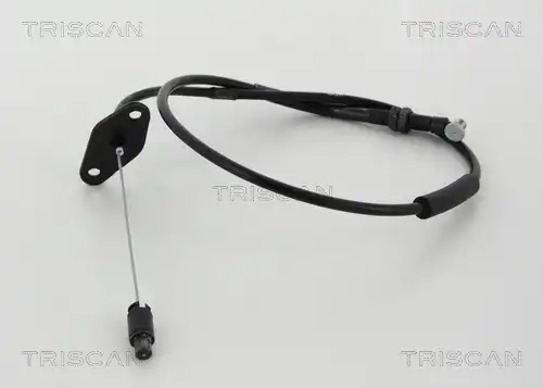 жило за газ TRISCAN 8140 43310