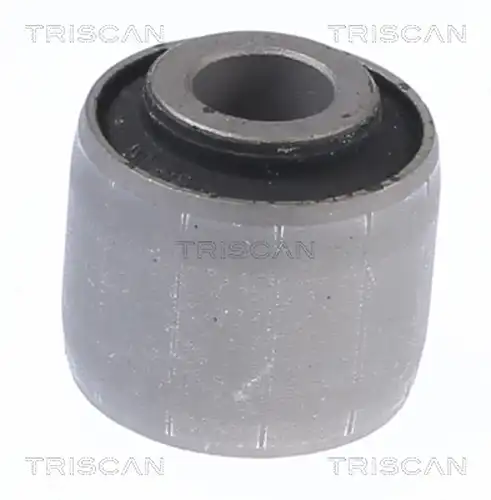 Шарнири TRISCAN 8500 43853