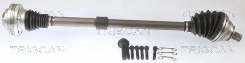 полуоска TRISCAN 8540 295042