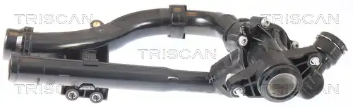  TRISCAN 8620 55297