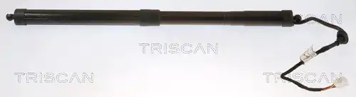  TRISCAN 8710 13301