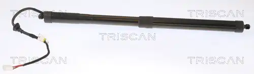  TRISCAN 8710 13302