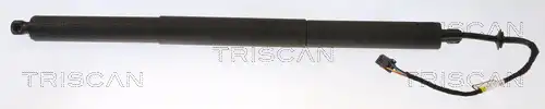 газов амортисьор, багажно/товарно пространство TRISCAN 8710 20304