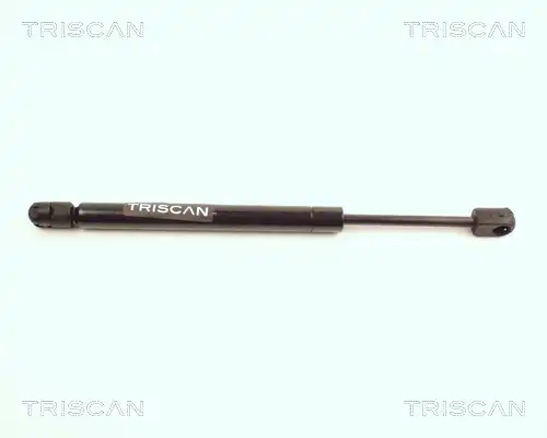 газов амортисьор, багажно/товарно пространство TRISCAN 8710 25205