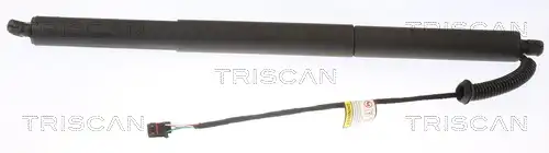 газов амортисьор, багажно/товарно пространство TRISCAN 8710 29305