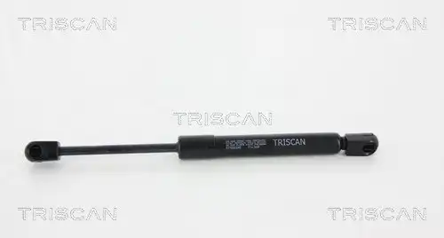 газов амортисьор, багажно/товарно пространство TRISCAN 8710 50245