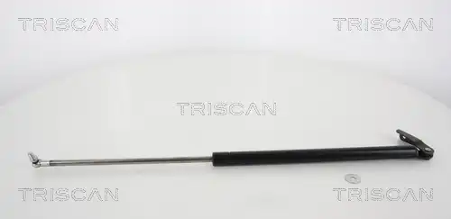 газов амортисьор, багажно/товарно пространство TRISCAN 8710 68206