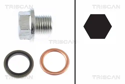 болтова пробка, маслен картер TRISCAN 9500 1001