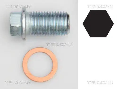 болтова пробка, маслен картер TRISCAN 9500 1012