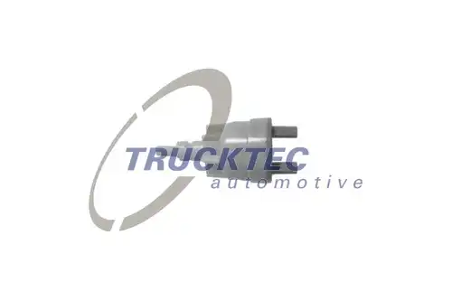 клапан, вакуумпомпа TRUCKTEC AUTOMOTIVE 02.56.001