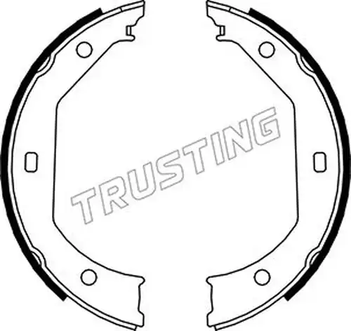 комплект спирачна челюст, ръчна спирачка TRUSTING 019.027