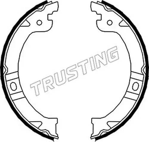 комплект спирачна челюст, ръчна спирачка TRUSTING 023.002