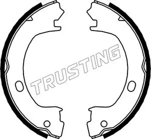 комплект спирачна челюст, ръчна спирачка TRUSTING 023.006