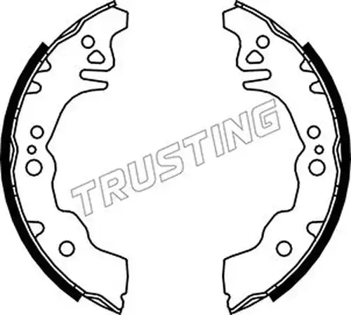 комплект спирачна челюст TRUSTING 026.352