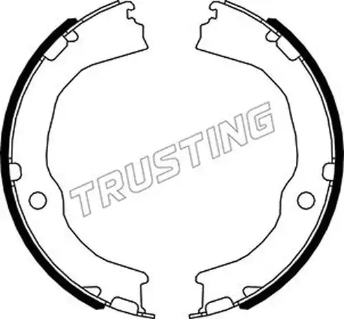 комплект спирачна челюст, ръчна спирачка TRUSTING 027.010