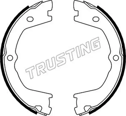 комплект спирачна челюст, ръчна спирачка TRUSTING 034.110