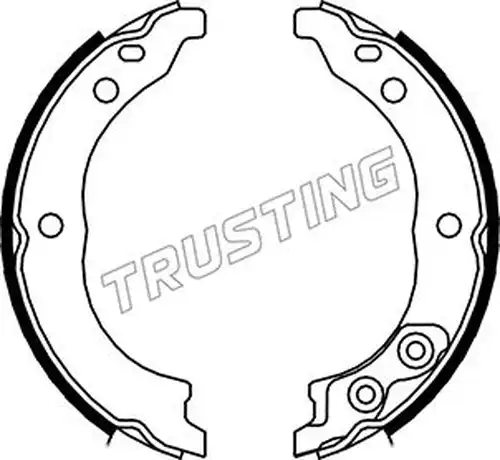 комплект спирачна челюст, ръчна спирачка TRUSTING 034.113