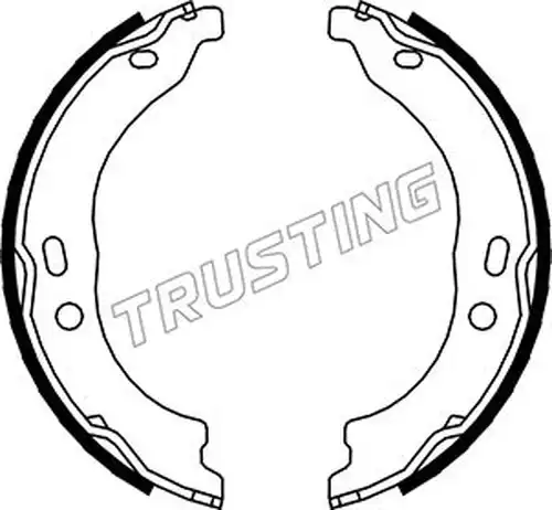 комплект спирачна челюст, ръчна спирачка TRUSTING 034.118