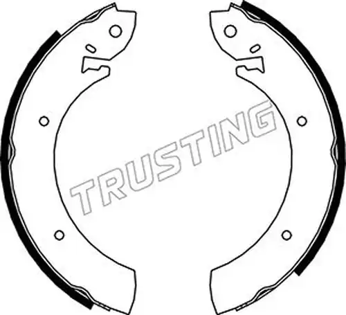 комплект спирачна челюст TRUSTING 040.080