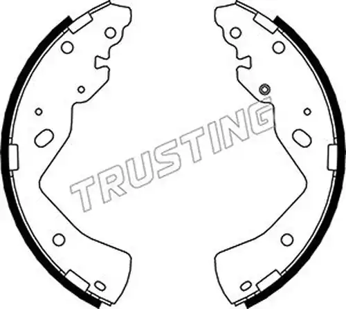 комплект спирачна челюст TRUSTING 040.157