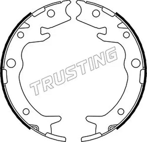 комплект спирачна челюст, ръчна спирачка TRUSTING 044.023