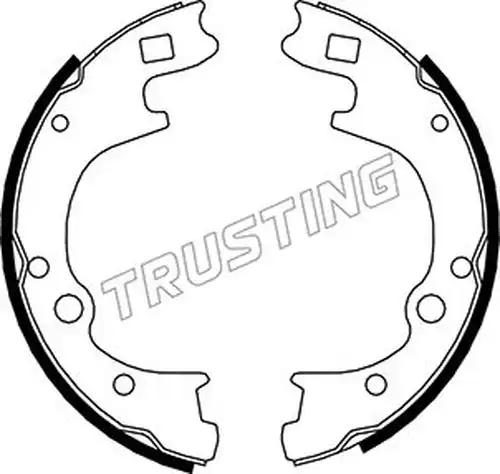 комплект спирачна челюст TRUSTING 046.209