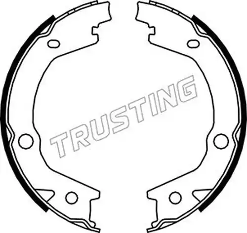 комплект спирачна челюст, ръчна спирачка TRUSTING 046.220