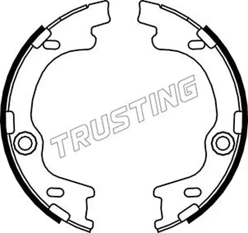 комплект спирачна челюст, ръчна спирачка TRUSTING 046.221