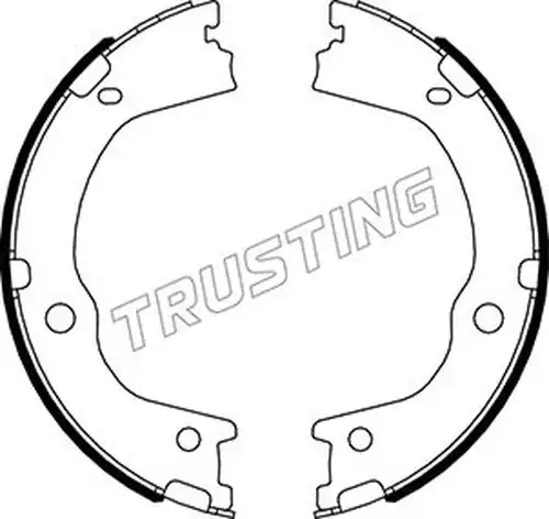 комплект спирачна челюст, ръчна спирачка TRUSTING 046.227