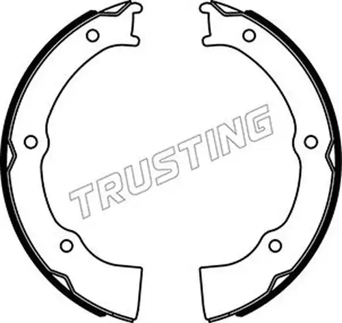 комплект спирачна челюст, ръчна спирачка TRUSTING 046.229