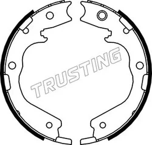 комплект спирачна челюст, ръчна спирачка TRUSTING 047.378