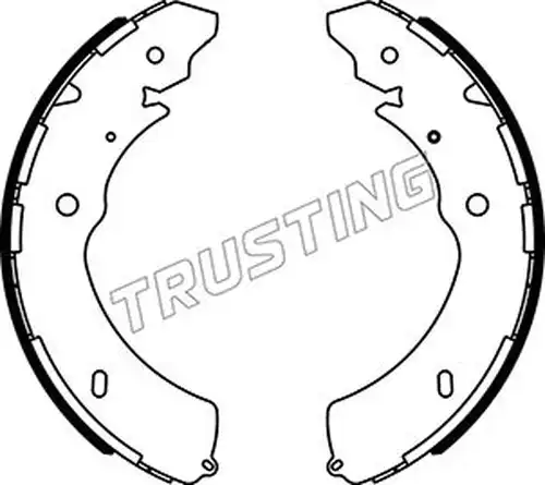 комплект спирачна челюст TRUSTING 047.379