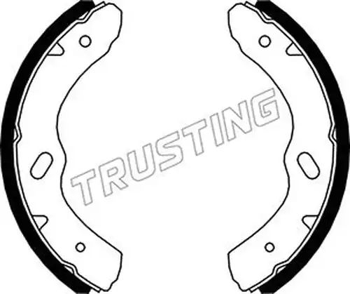 комплект спирачна челюст TRUSTING 047.380