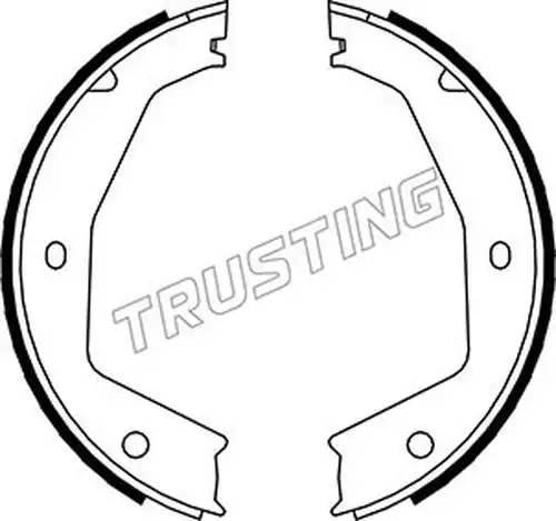 комплект спирачна челюст, ръчна спирачка TRUSTING 048.002