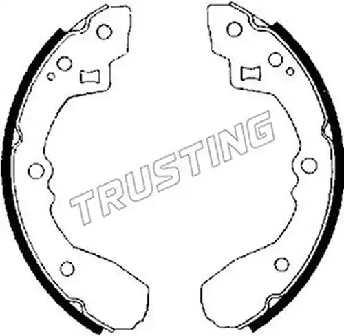 комплект спирачна челюст TRUSTING 049.122