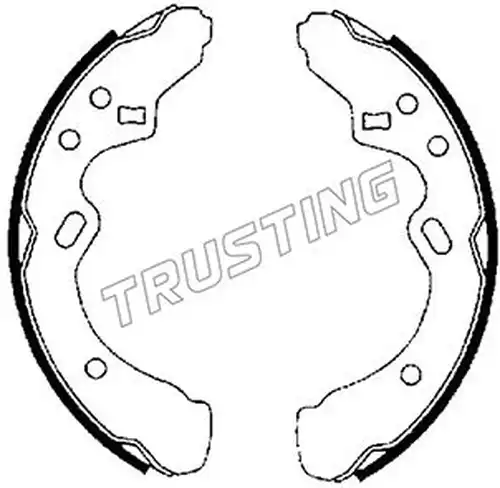 комплект спирачна челюст TRUSTING 049.131