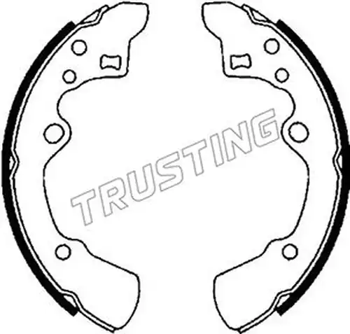 комплект спирачна челюст TRUSTING 049.135