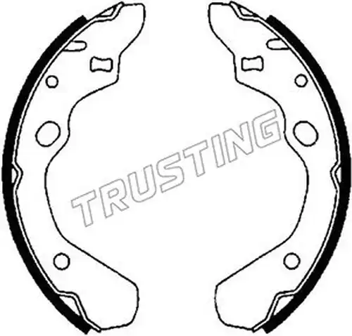 комплект спирачна челюст TRUSTING 049.141