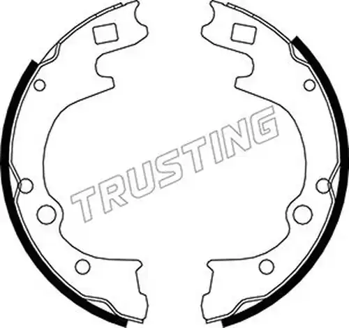 комплект спирачна челюст TRUSTING 049.155