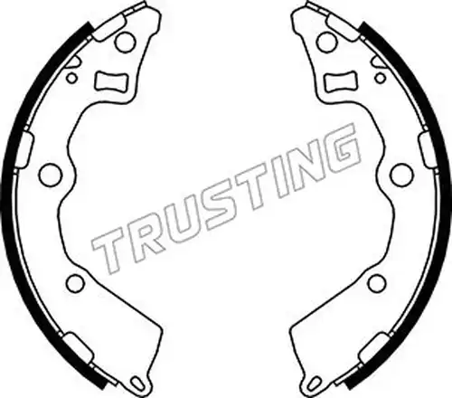 комплект спирачна челюст TRUSTING 049.164