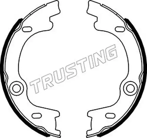 комплект спирачна челюст, ръчна спирачка TRUSTING 049.169